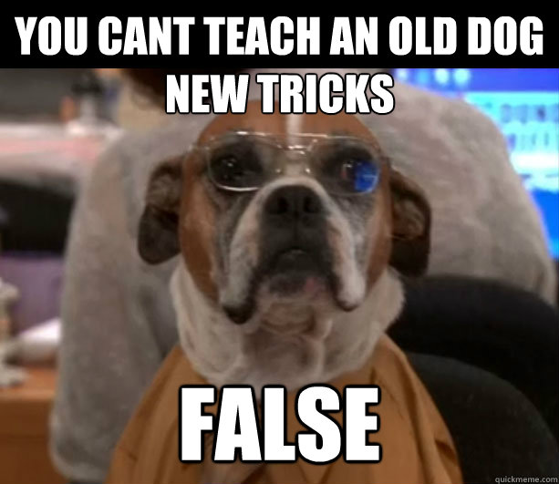 Can You Teach an Old Dog Old Tricks..
